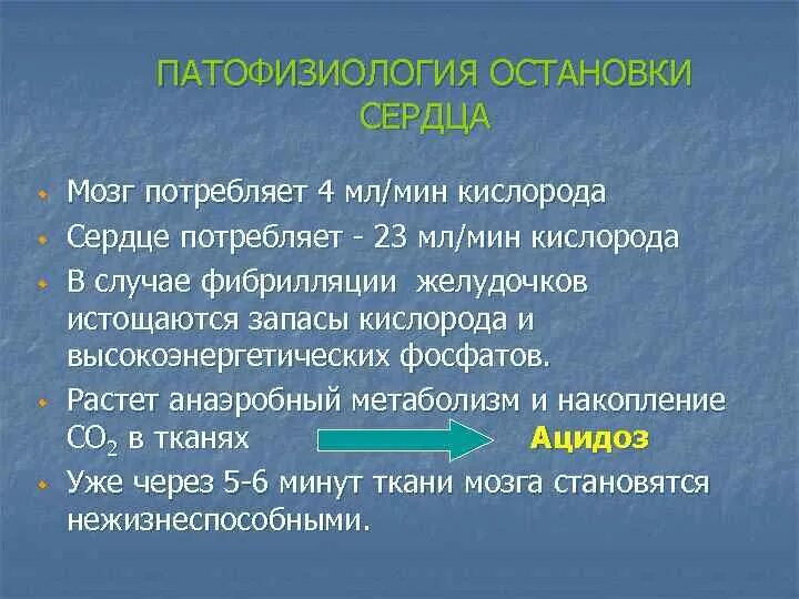 Сколько потребляет мозг. Потребление кислорода мозгом. Потребление кислорода сердцем. Сколько кислорода потребляет мозг. Сколько сердце потребляет кислорода.