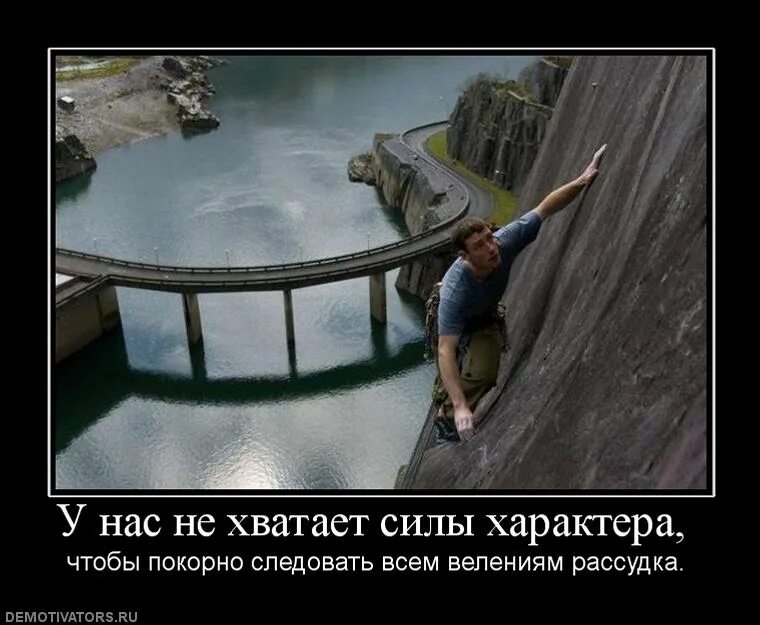 мне тебя не хватает цитаты. сила характера это в психологии. ландау работать надо а там глядишь и времена изменятся. просто жаль. сила характера это.