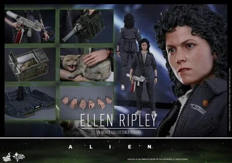 HOTTOYS 16 ПРИШЕЛЕЦ 1 MMS366 ELLEN RIPLEY КОЛЛЕКЦИОННЫЙ ФИЛЬМ ФИГУРКА - Из...
