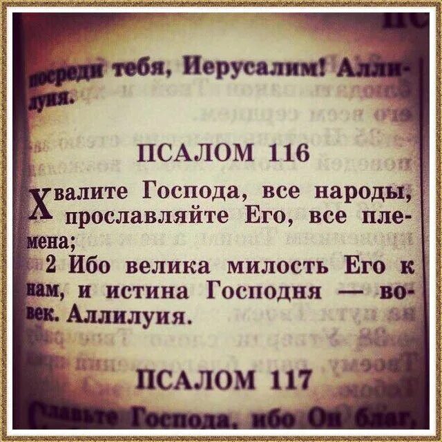 116 Псалом текст. Самый короткий Псалом. Псалом 116 на русском языке читать. Самый короткий Псалом 116. Псалом 117 читать