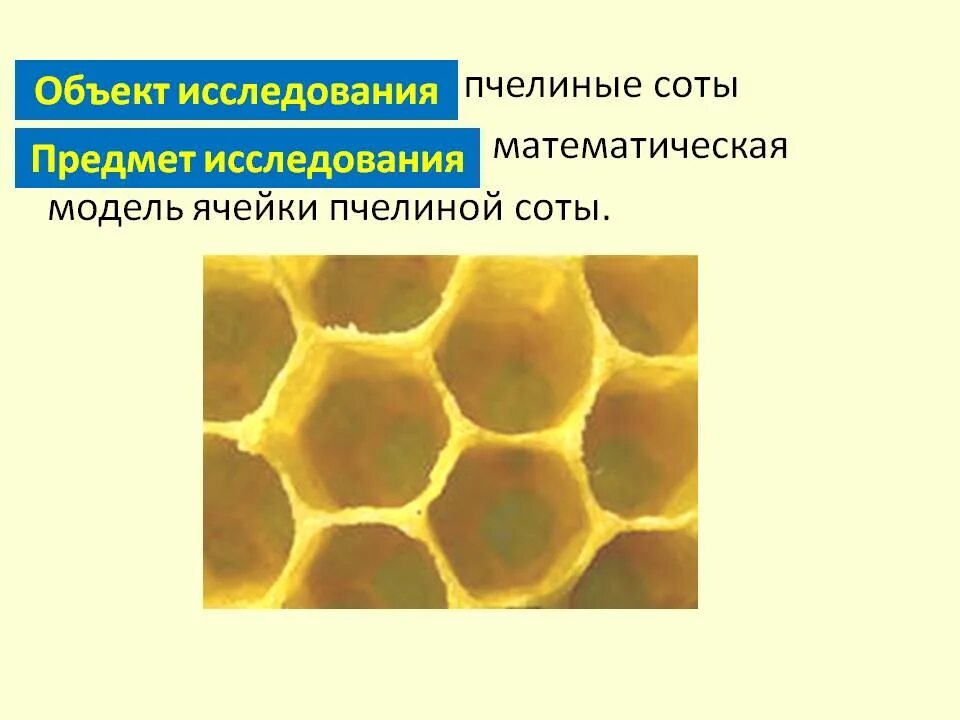 Строение пчелиного сота. Строение пчелиных сот. Пчелиные соты строение. Соты пчел строение.