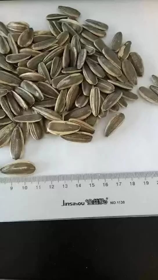 семечки подсолнуха. 15 размеров семян подсолнечника. длина семян подсолнечника. размер семечки подсолнуха. подсолнечник калиброванный 36+.