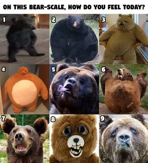 How are you scale