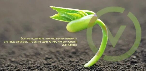 Мир нельзя. И пока на земле существуют мосты будут. В любых делах при максимуме сложностей. Нельзя изменить мир. Будущее планеты в наших руках.