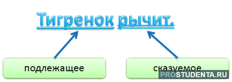 Схема подлежащего и сказуемого 2 класс. Подлежащее и сказуемое. Подлнжащие и сказуймое. Подлежащее и сказуемое рисунок.