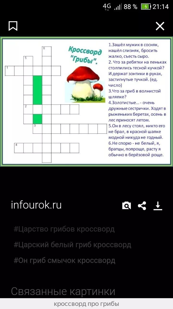 Составить кроссворд грибы. Кроссворд по биологии про грибы с ответами. Кроссворд про грибы. Кроссворд про грибы с ответами. Кроссворд по теме грибы.