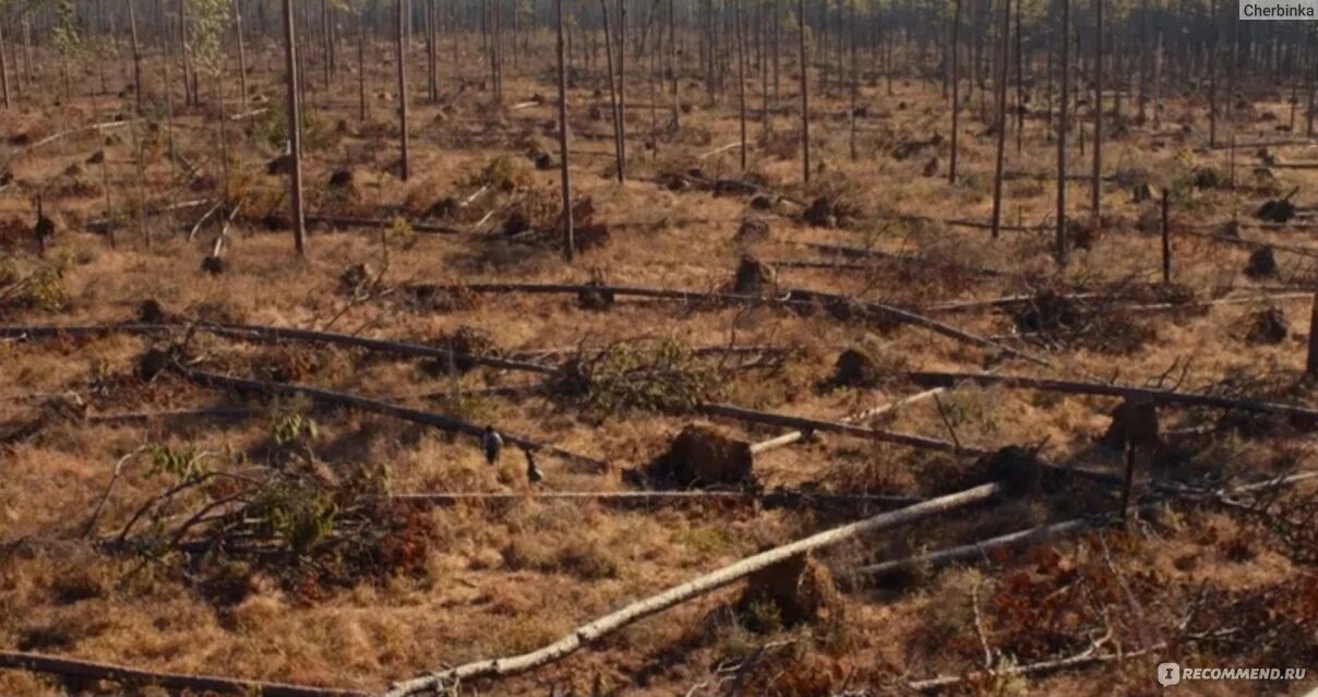 Фантастика остался один на земле 65 ураганы. Фантастика остался один на земле 65 ураганы. Уилл смит земля после нашей эры. Космическая буря. Finch 2021.