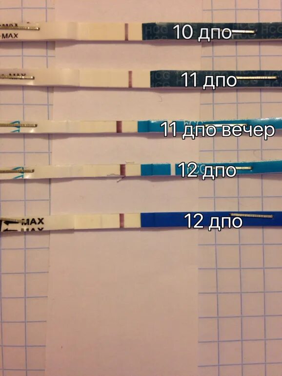 Дополнительное профессиональное образование тесты. 12 ДПО тест. Тест на 12 день после овуляции. 10-12 ДПО тесты. 12 День после овуляции.