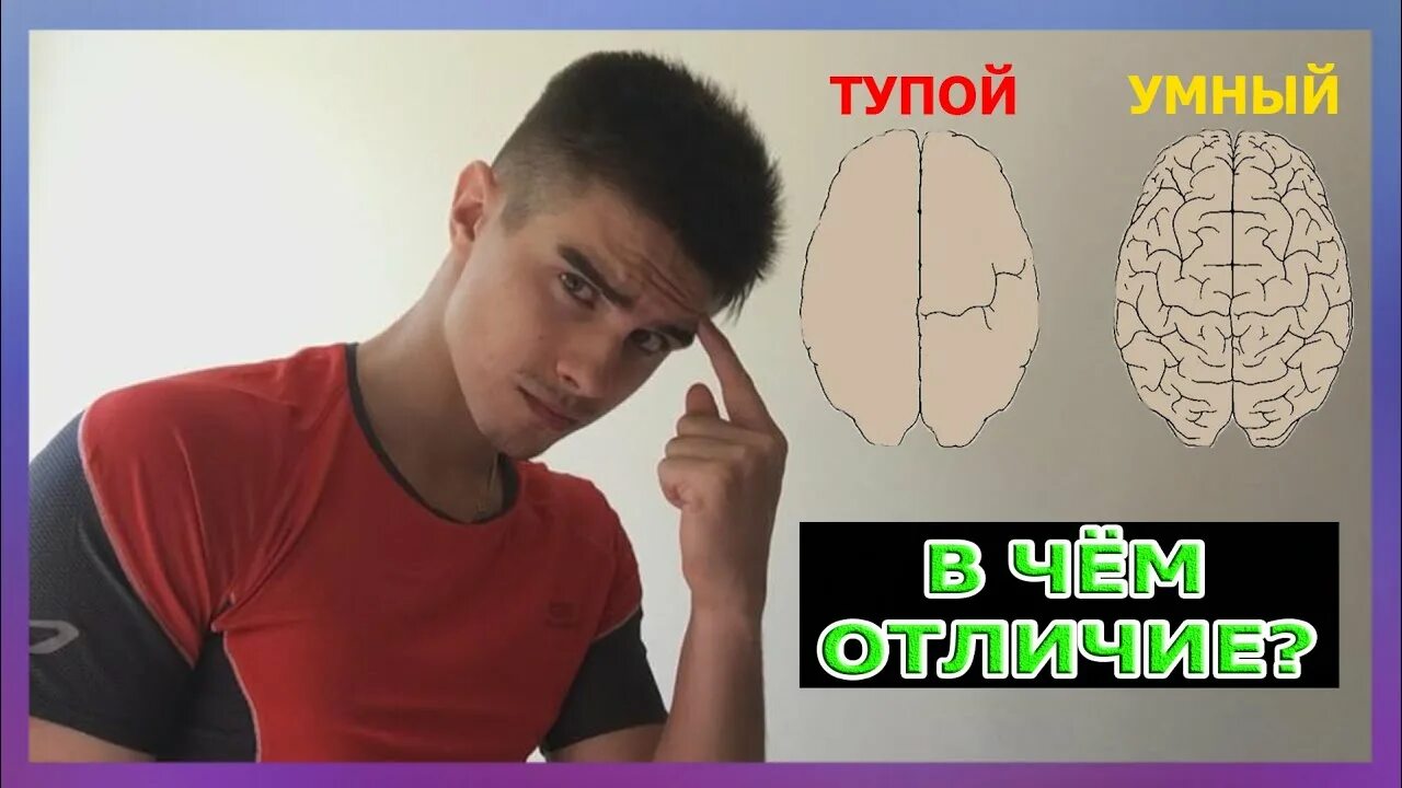 Глупый разница