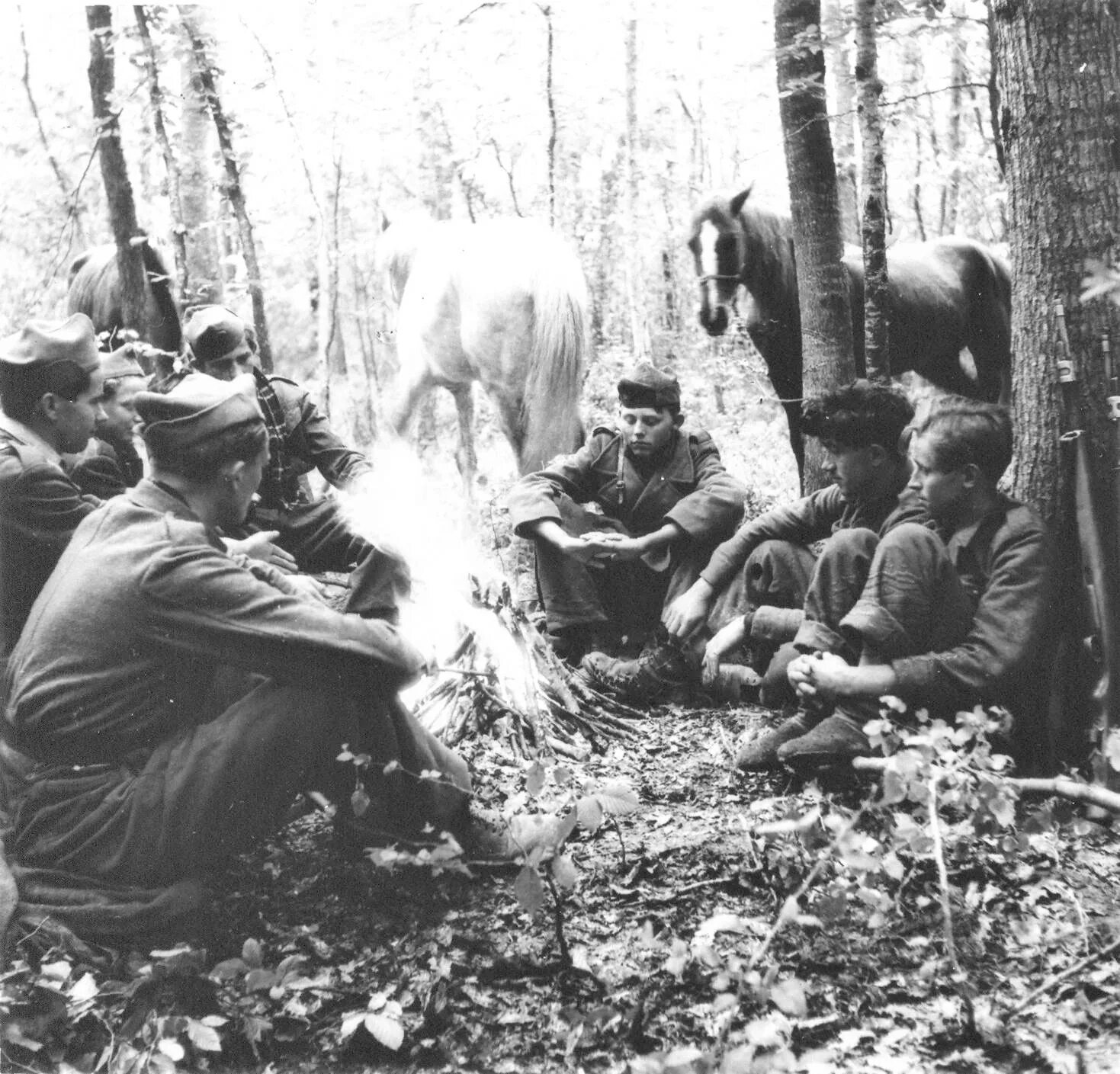 Партизанский лагерь вов. Лес в годы великой отечественной. Окопы в лесу. Синявинские высоты 1943. Партизанская землянка 1941.