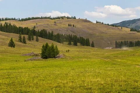 Курган алтай
