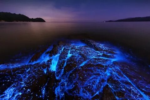 Светящаяся вода