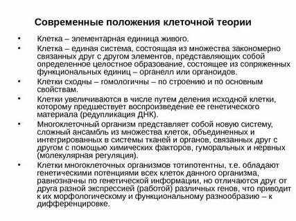 Современное положение клеточной