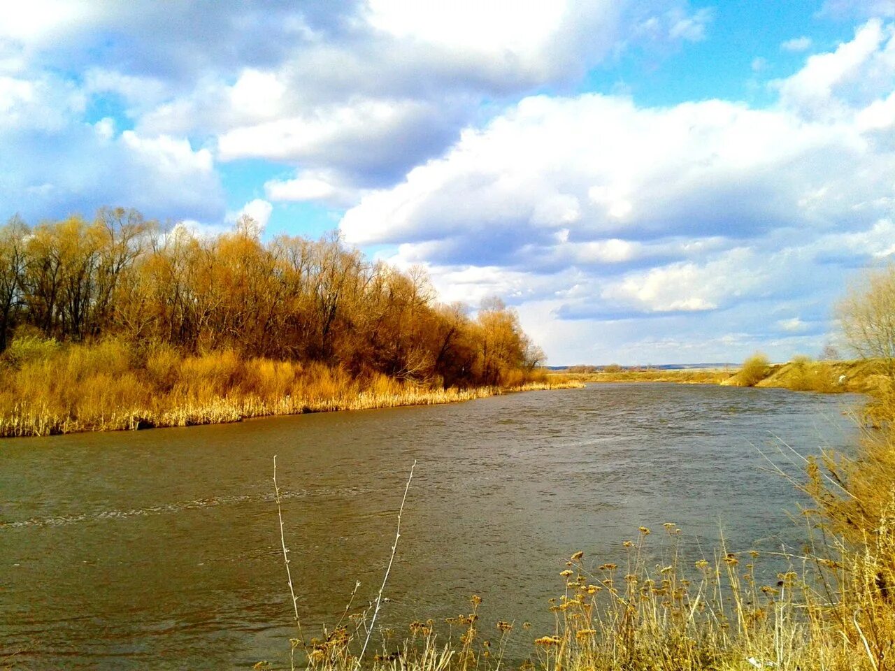 Река большой кинель в самарской области. Река Кинель. Река Кинель в Самарской области. Река малый Кинель в Самарской области. Река большая Кинель.