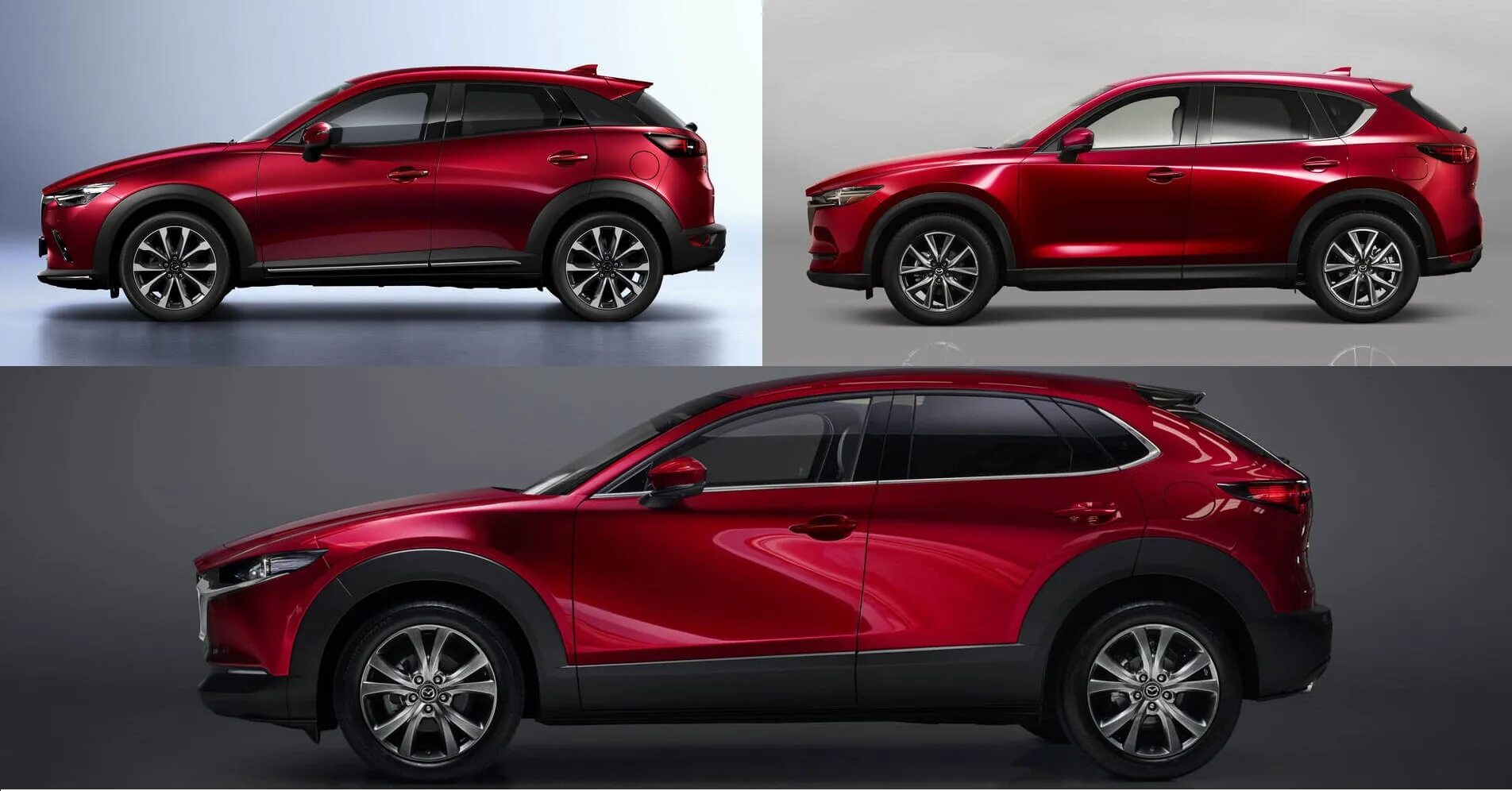 Mazda CX-30 И CX-5. Mazda CX 30 vs Mazda CX 5. Мазда cx3 + cx30. Mazda CX-30 vs CX-5. Отличия мазда сх5