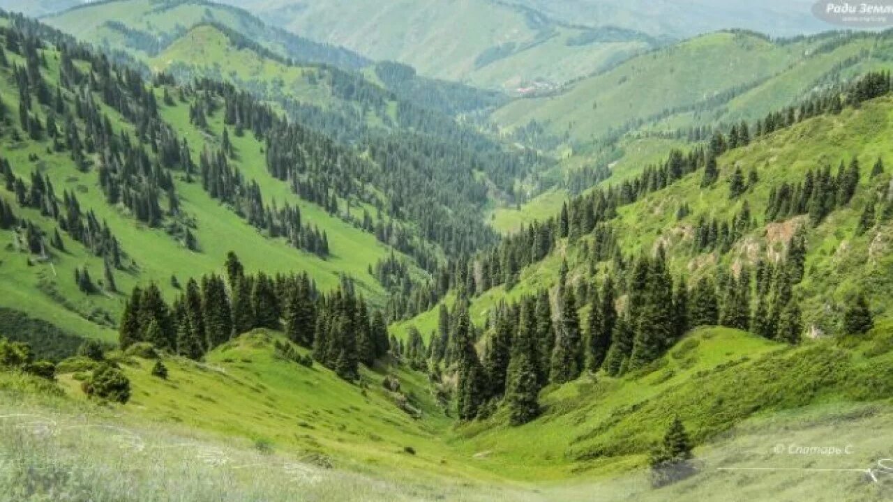 Алтын базар нукус. Иле-алатауский национальный природный парк. Горы алатау в казахстане. Алматы облысы іле ауданы. Иле-алатауский национальный природный парк.