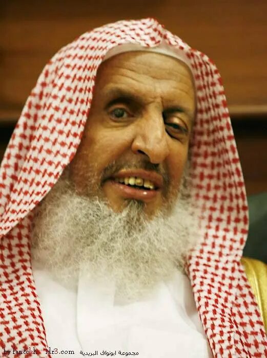 Абдуль азиз ибн абдуллах аль аш шейх. Муфтий саудовской аравии абдулазиз али шейх. Али аш шейх. Абдульазиз аль аш шейх. Шейх абдульазиз ар раджихи.