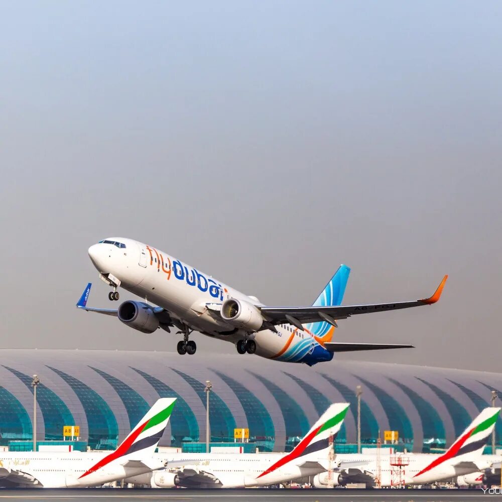 Авиабилеты купить flydubai. Самолеты авиакомпании Флай Дубай. Boeing 737 Мах Fly Dubai. Авиакомпания ОАЭ Флай Дубай. Флай Дубай 2023.