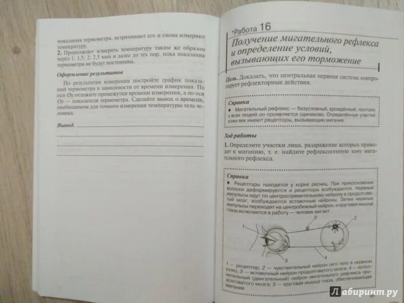 Практическая работа по биологии 9 класс кожа. Тетрадка по биологии 8 класс для лабораторных. Тетрадь для лабораторных работ по биологии 8 класс. Клеточную тетрадь для лабораторных работ. Книжка для лабораторных работ по биологии.