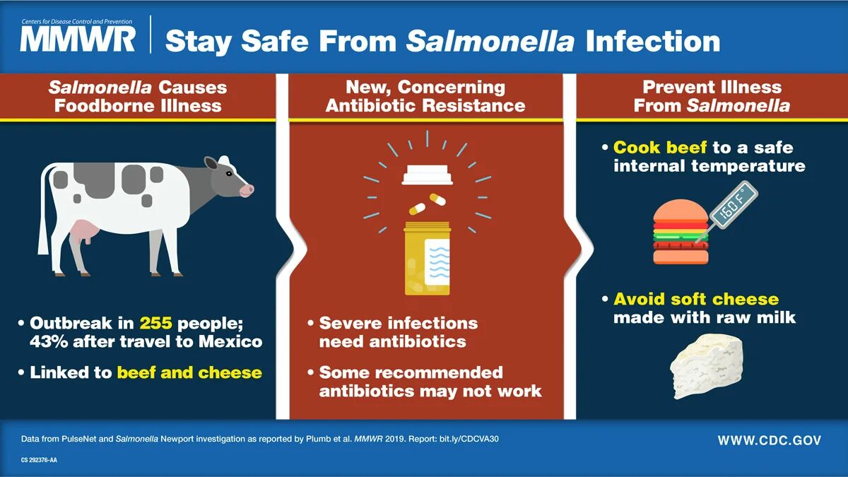 Use of animals. Сальмонелла. сальмонеллез. salmonella newport. salmonella infection causes.