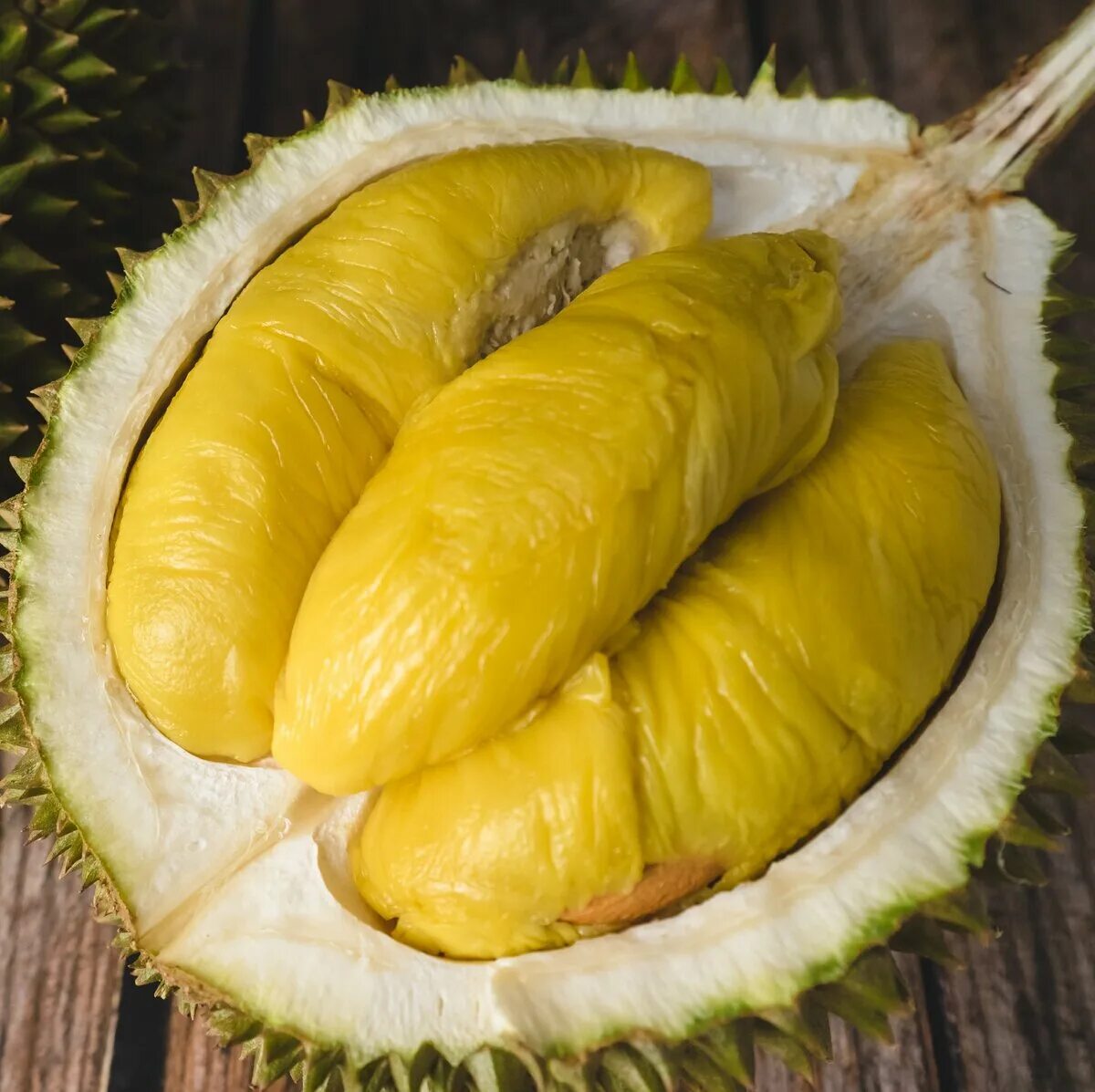 Вонючий фрукт. Плод дуриан. дуриан (durian). дуриан фрукт тайланд. дуриан цибетиновый.
