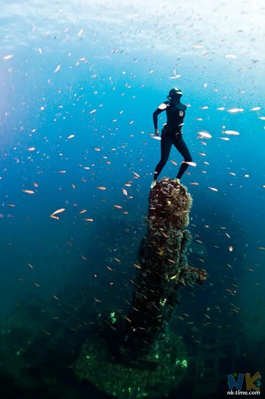 Алессия зеккини фридайвинг. Океаны. Дахаб каньон дайвинг. Погружение в марианскую впадину. Прогулка под водой фото.