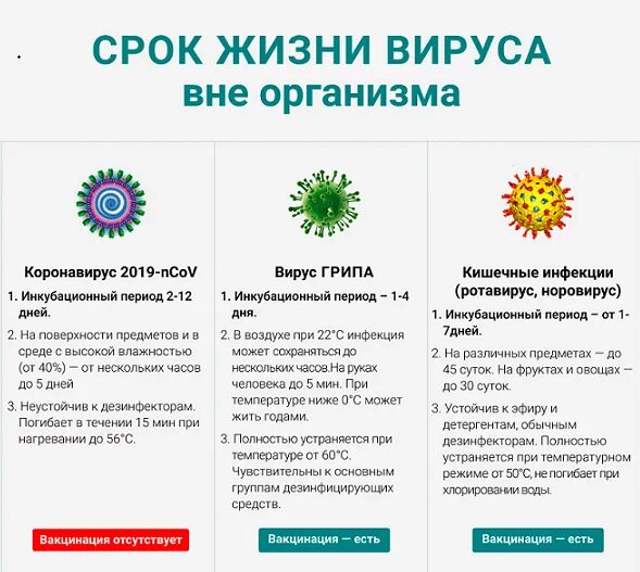 Как отличить ротавирусную от. Условия жизни вирусов. Вирусы гриппа живут в окружающей среде. Срок жизни вируса. Вирус гриппа и коронавирус.