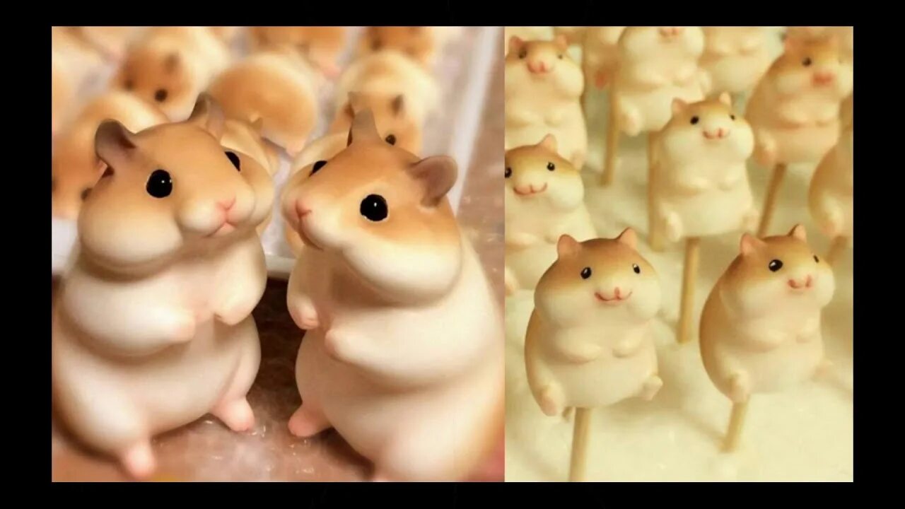 Hamster 22