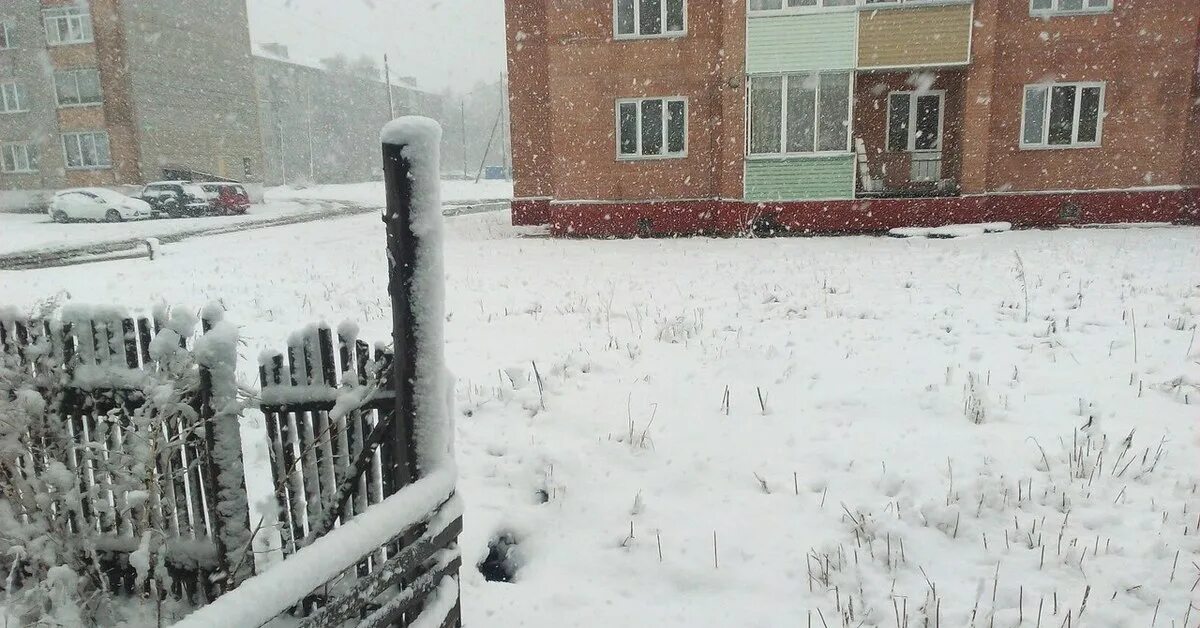 Где выпал снег в россии сегодня. Снегопад в Сибири. Снег в Лесосибирске. В Томске выпал снег. Снег летом в Сибири.