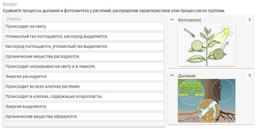 Задания по теме фотосинтез 6 класс. Биология 6 класс Пономарева фотосинтез. Процесс дыхания и фотосинтеза у растений. Сравнение процессов фотосинтеза и дыхания. Фотосинтез и дыхание растений сравнение.