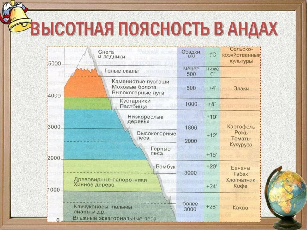 Высотная поясность горы Аконкагуа. Зона ВЫСОТНОЙ поясности таблица. Схема ВЫСОТНОЙ поясности в Андах. Высотное поестность гор анд.