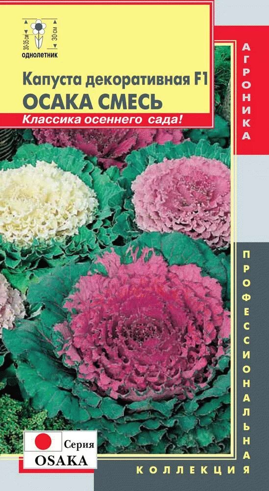 Декоративная капуста семена. Декоративная капуста крейн пинк. Капуста декоративная осака красная. Капуста декоративная осака розовая f1. Капуста декоративная осака смесь.