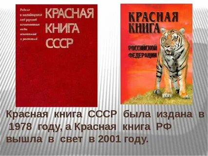 Красная книга 2024