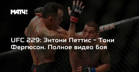 Полный бой петтиса