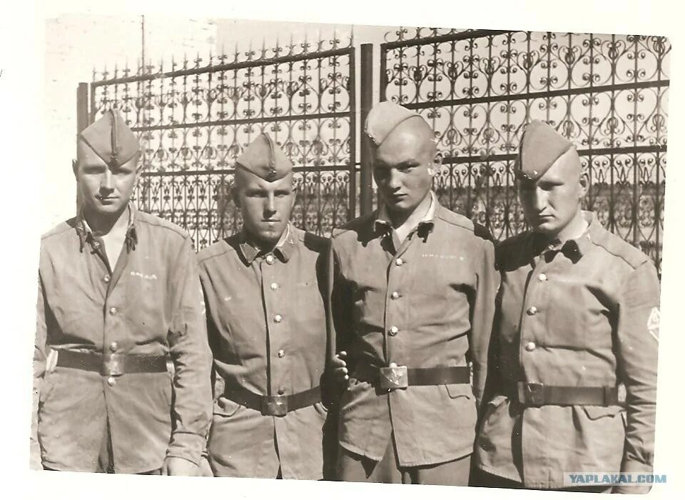 Отдельные дисциплинарные батальоны. Дисциплинарный батальон мулино. Дисбат солдаты. Отдельные дисциплинарные батальоны. Дисбат в советской армии.