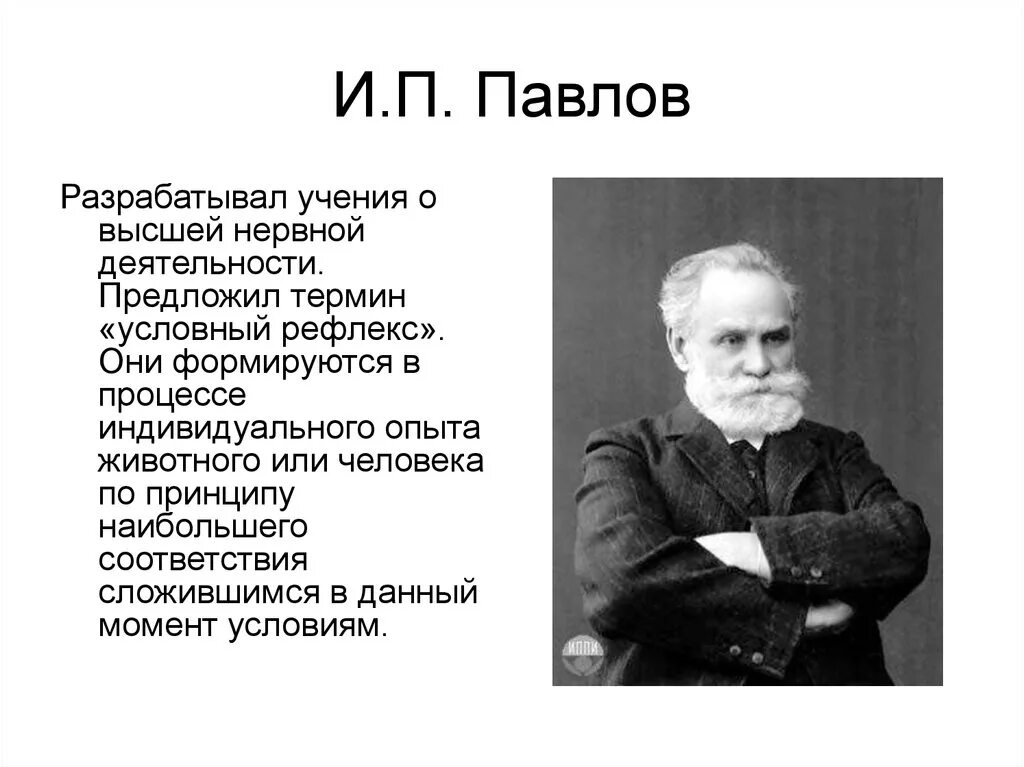 И.П.Павлов разработал учение. Теория высшей нервной деятельности и.п. Павлова.. И. П. Павлов – создатель учения о высшей нервной деятельности.. Павлов направление