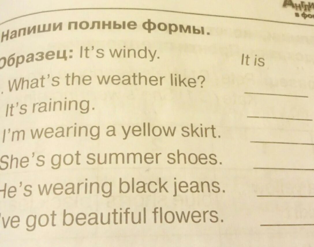 Windy перевод с английского на русский. What's полная форма. Полные формы в английском. Напиши полную форму образец. Напиши полные формы.