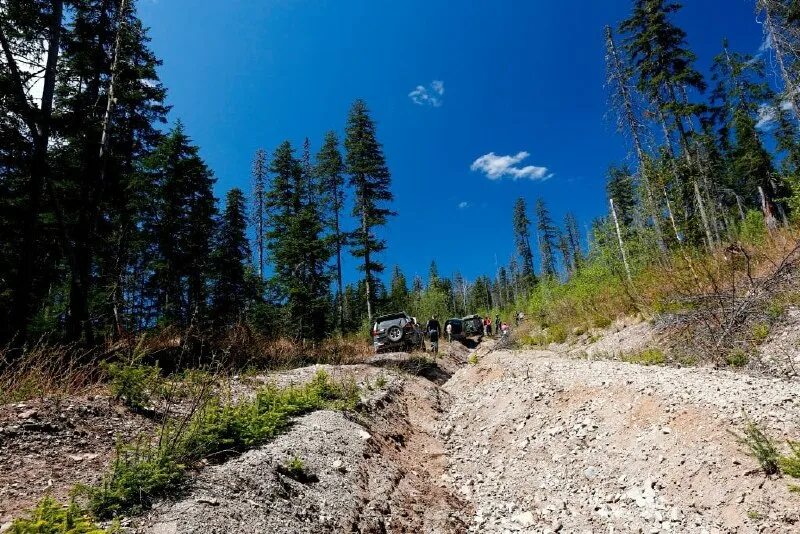 Планета тайга комсомольск-на-амуре. Планета тайга. Горная система сихотэ-алинь. Планета тайга. Тайга.