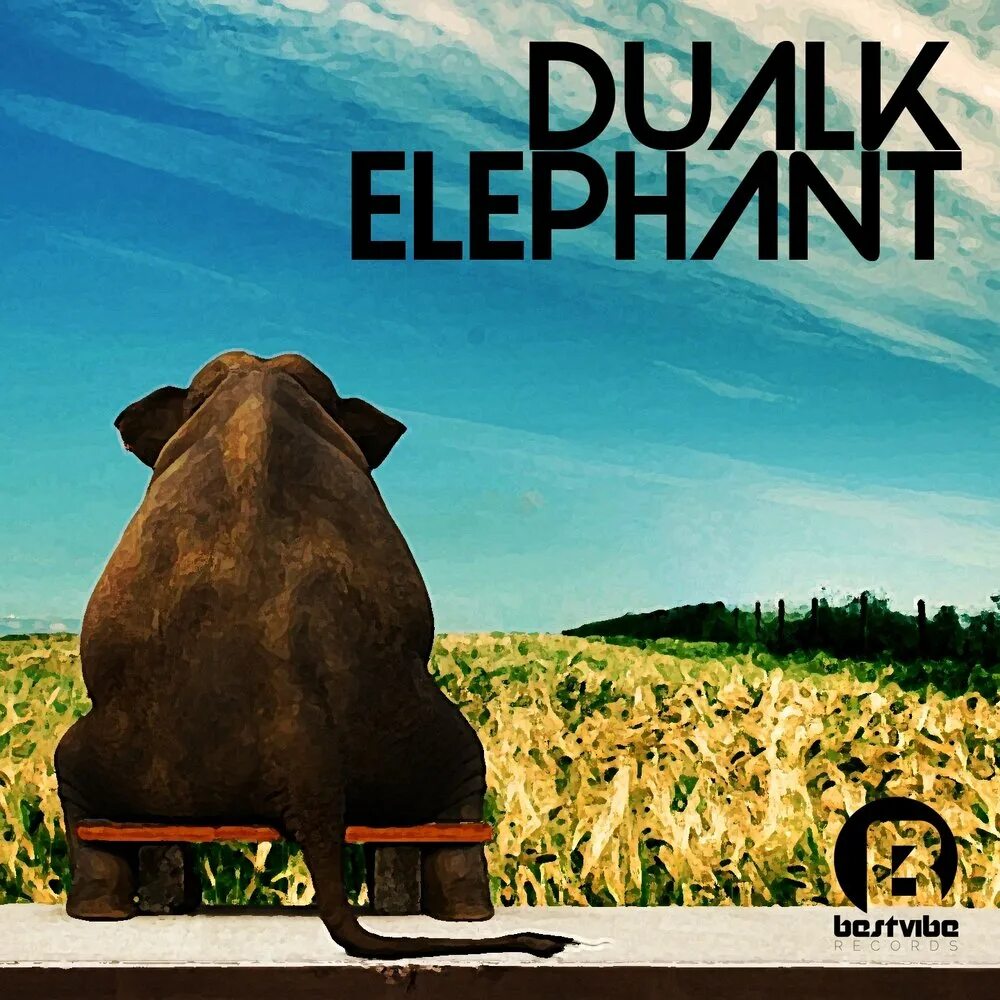 Elephant Music альбом. Песня elefante. Слоны СЛУШАЮТ музыку. У какого музыкального альбома слон на обложке.