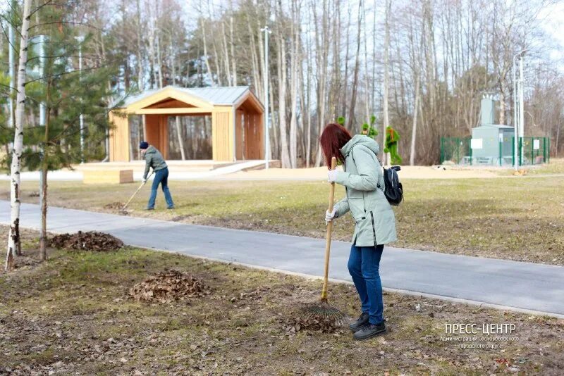 Федеральное казенное учреждение "центр хозяйственного и сервисного. Соц защита коченево 12 кабинет. Организационная структура мку. Камера хранения самара арена. Что такое центр хозяйственного и сервисного обеспечения.