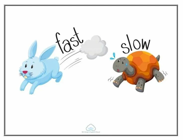 Opposite lane slowed. Slow картинка для детей. Fast slow. Fast slow. Fast slow карточки по английскому.