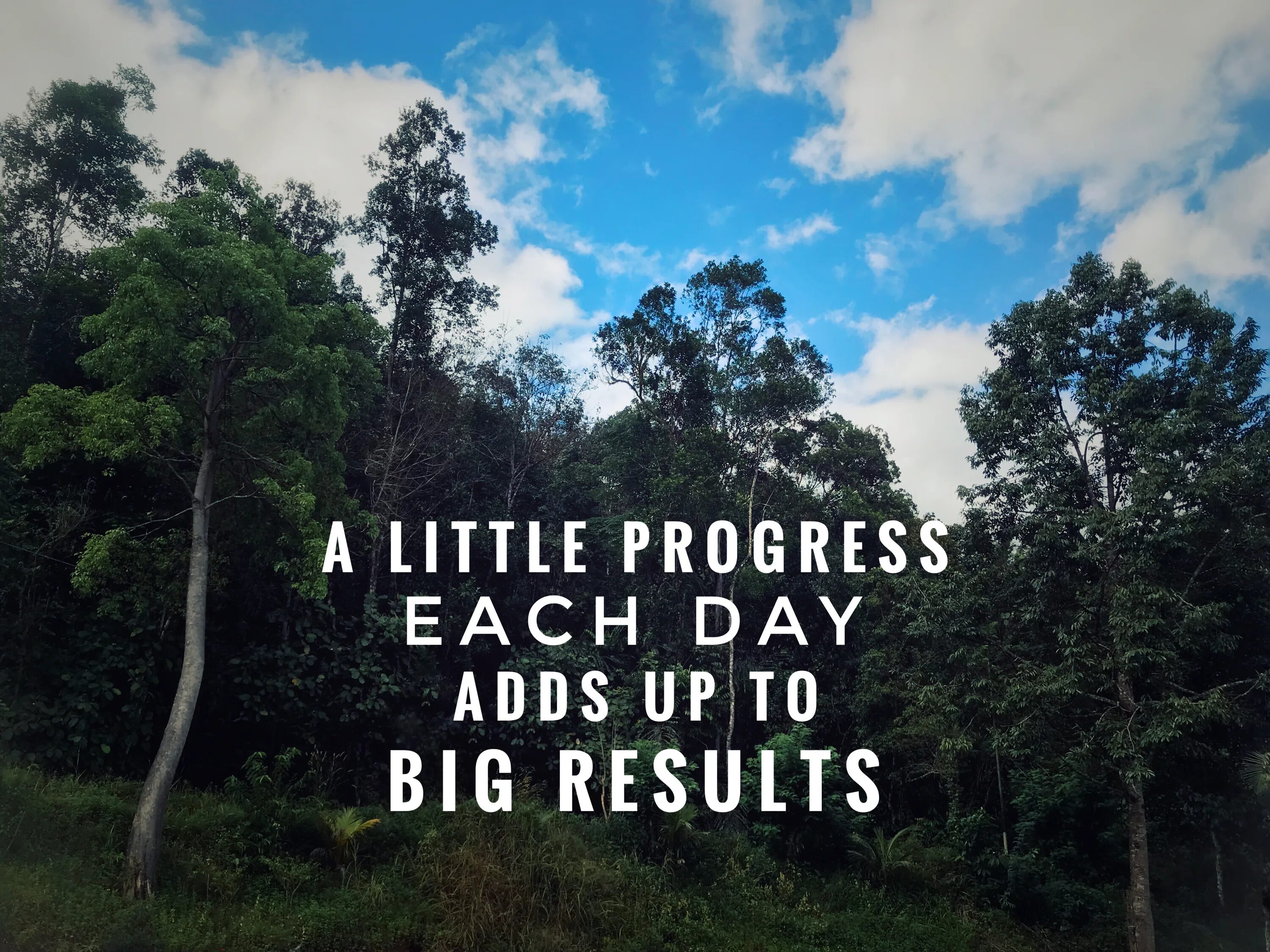 A little progress each Day adds up to big Results. Little progress. Little a little quotes. Each Day.