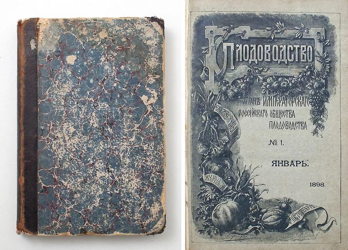 иллюстрированный журнал. полная подшивка нива 1897. иллюстрированный журнал. нива иллюстрированный журнал. иллюстрированный журнал.
