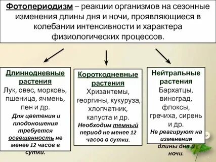 Реакция на изменение светового дня