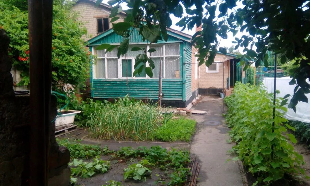 Купить жилье в ростовской области. Green House, станица Багаевская Ростовская. Овощной Ростовская область. Жилье с правом выкупа в ст Багаевская. Поселок овощной.