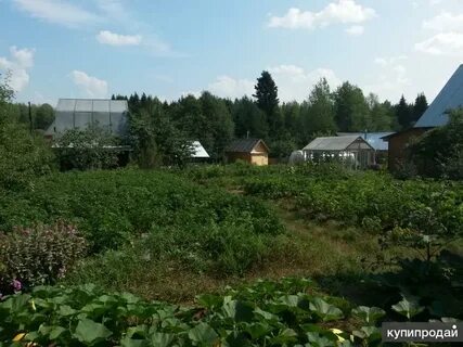 Продаю участок киров