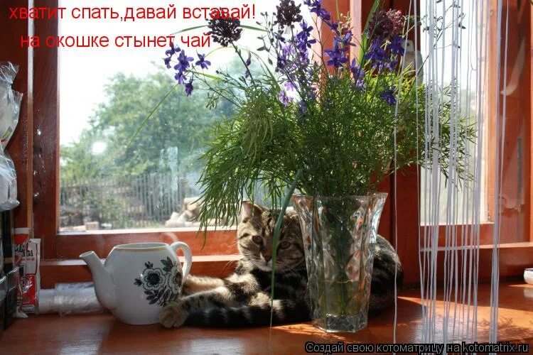 женщина у зимнего окна. окно осень. окно осень. окно осень. окно весна.