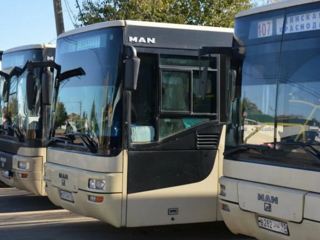 Билеты краснодар динская. Расписание автобусов станица динская. 107 автобус динская. Расписание автобусов динская краснодар. Автобус оз молл динская.