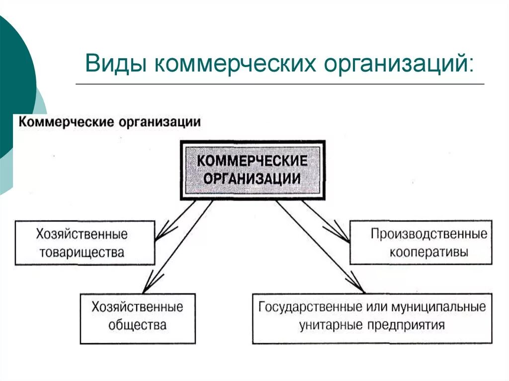 Разновидность коммерческой организации. Назовите типы коммерческих организаций. Виды коммерческих предприятий. Виды коммерческихоргенизауиц.