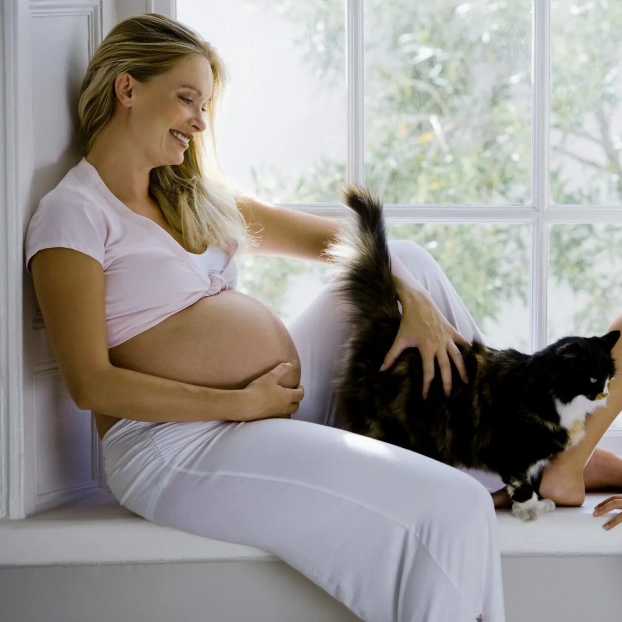 Женщина забеременела от собаки. Животные и беременные женщины. Коты и беременные женщины. Беременные домашние животные.